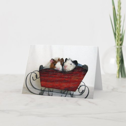 Two Guinea Pigs in a Sleigh Christmas Holiday Card