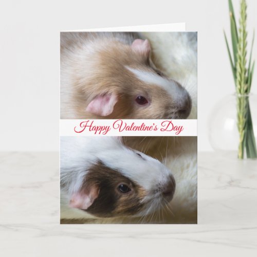 Two guinea pigs Valentines Day card