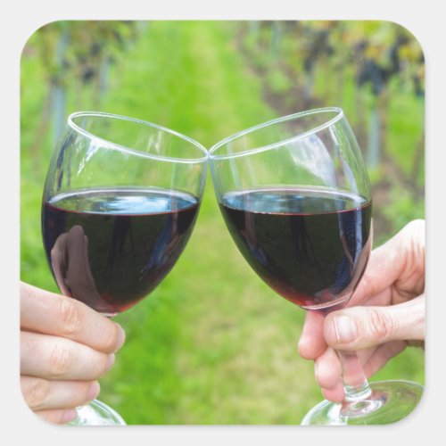 Two hands toasting with wine glasses in vineyard square sticker