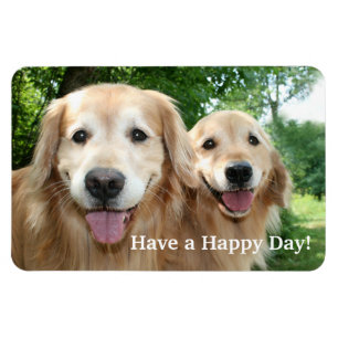 Two Happy Golden Retriever Dogs Outside Magnet