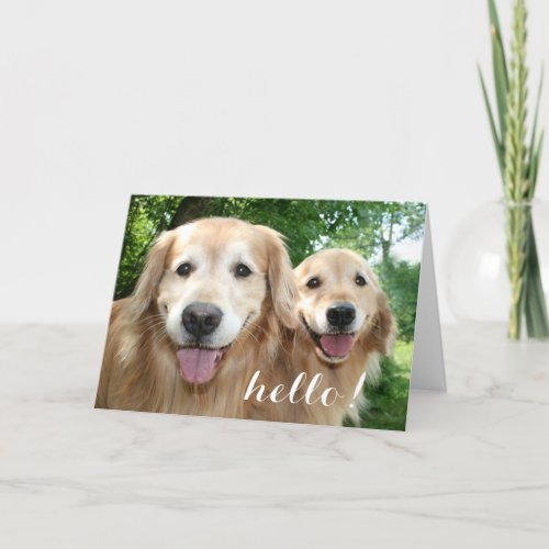 Two Happy Golden Retrievers Outside Hello Card