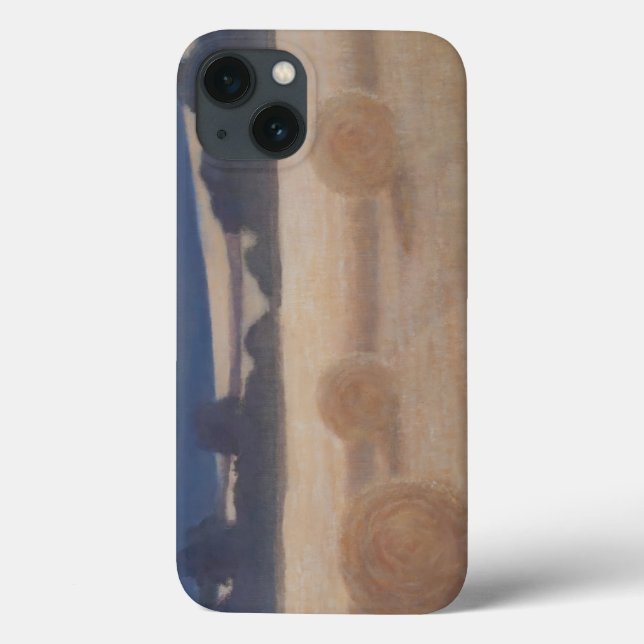 Two Hay Bales 2012 2 Case-Mate iPhone Case (Back)