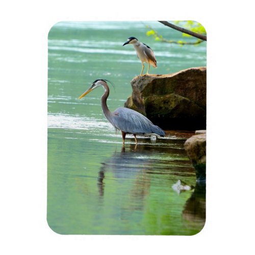 Two Herons by the River Magnet