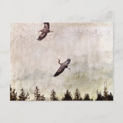 Two Herons Flying Photo Postcard