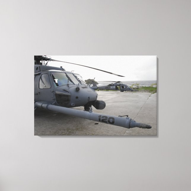 Two HH-60G Pave Hawks Canvas Print (Front)