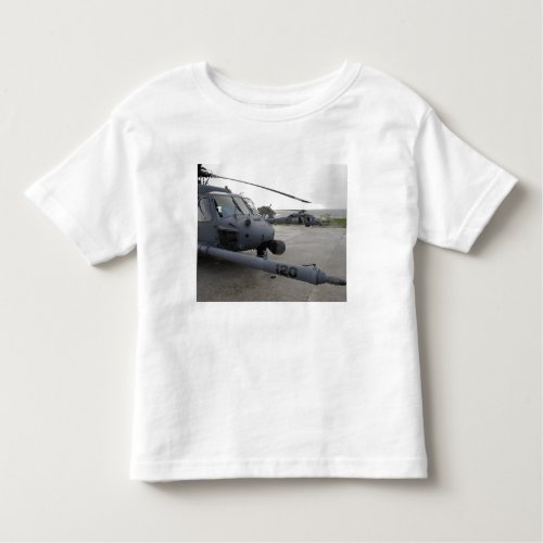 Two HH_60G Pave Hawks Toddler T_shirt