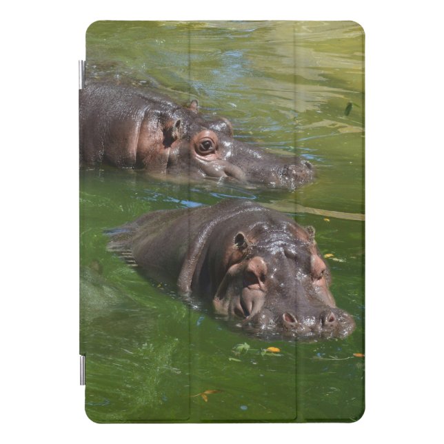 Two Hippos Swimming In Pond, iPad Pro Cover (Front)
