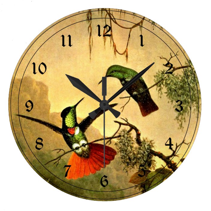 Two Hooded Visorbearer Hummingbirds Large Clock | Zazzle.com