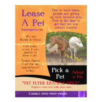 Two Horse Adoption Pet Flyer