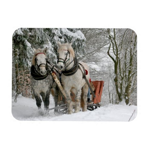 Two Horse Drawn Open Sleigh on Snowy Path in Woods Magnet