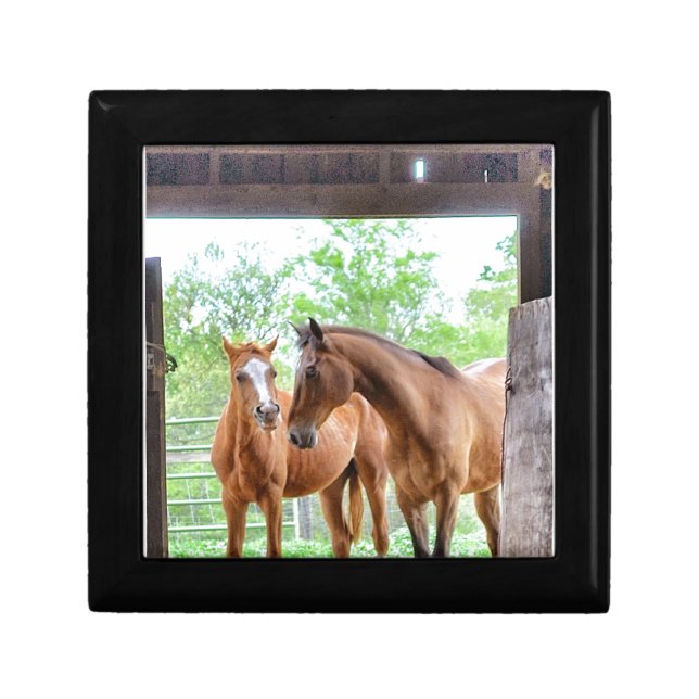 Two horse friends keepsake box (Front)