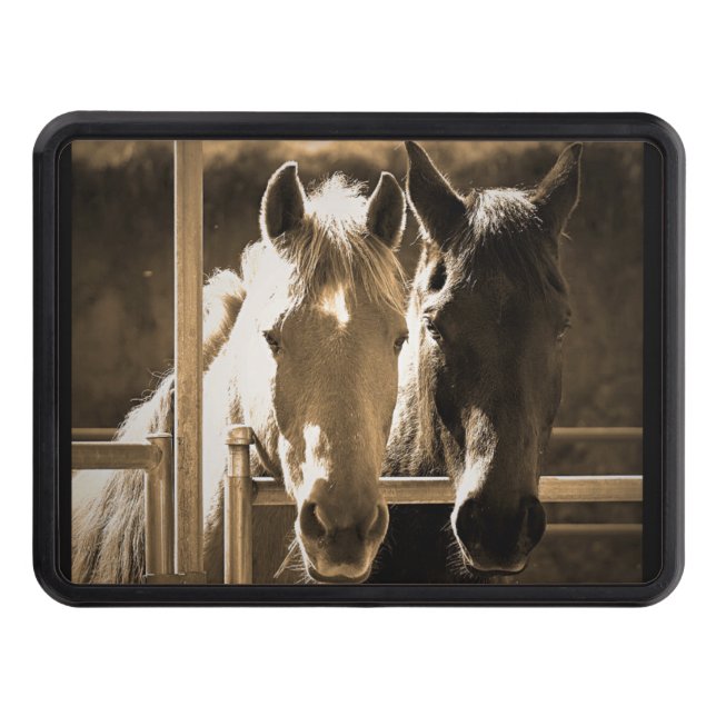 Two Horse Hitch Cover (Front)