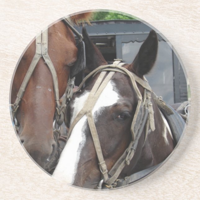 Two Horse Team With One Pinto Sandstone Coaster (Front)