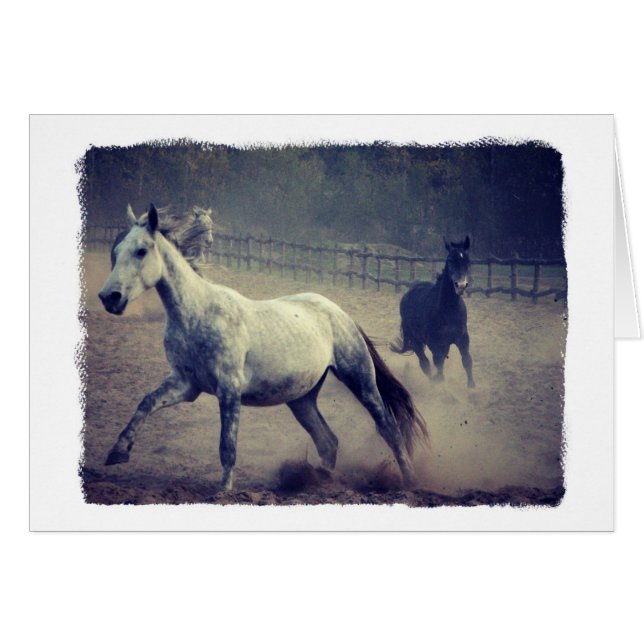 Two Horses All Occasions Greeting Card (Front Horizontal)