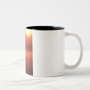 Two horses at sunset Two-Tone coffee mug