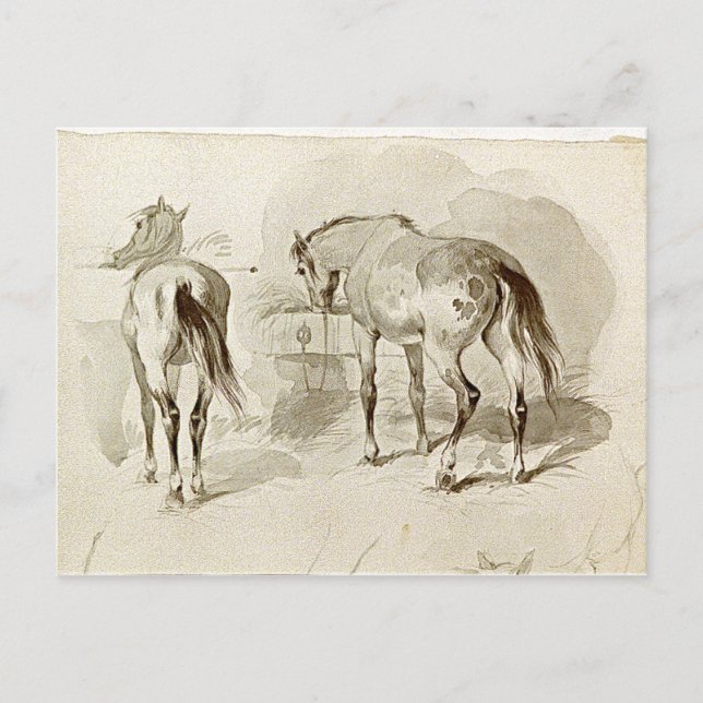 Two Horses at the Manger Postcard (Front)