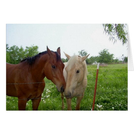 Two Horses - Blank Inside Cards (Front Horizontal)