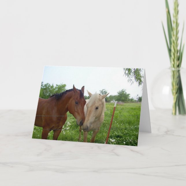 Two Horses - Blank Inside Holiday Card (Front)
