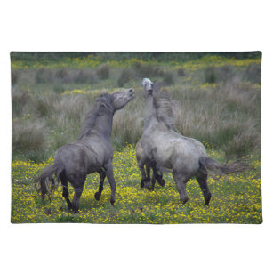 Two Horses Buck and Play Cloth Placemat