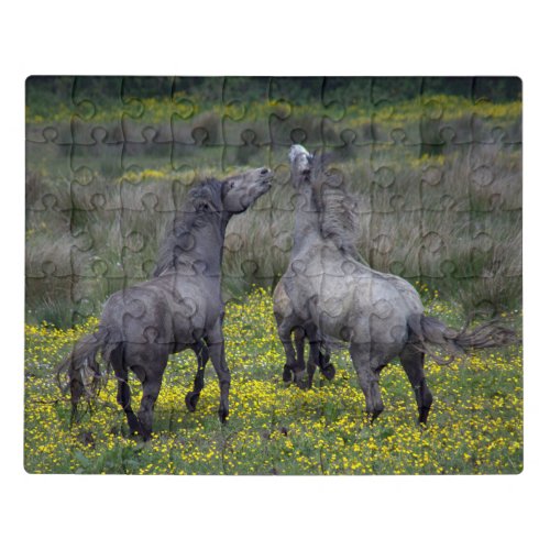 Two Horses Buck and Play Jigsaw Puzzle