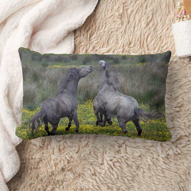 Two Horses Buck and Play Lumbar Pillow (Blanket)