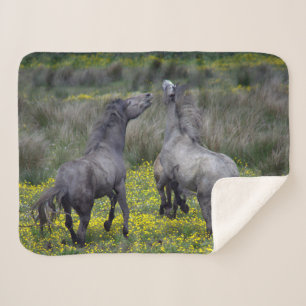 Two Horses Buck and Play Sherpa Blanket