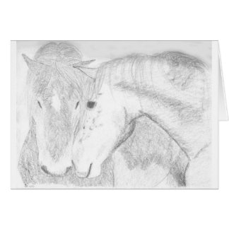 Two horses cards