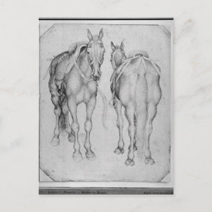 Two horses, from the The Vallardi Album Postcard