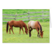 Two Horses Grazing (Front Horizontal)