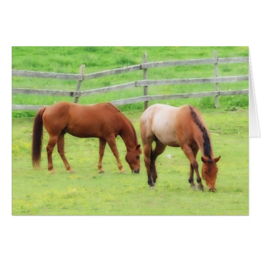 Two Horses Grazing Cards (Front Horizontal)