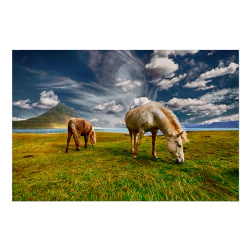 Two Horses Grazing in Pasture Poster