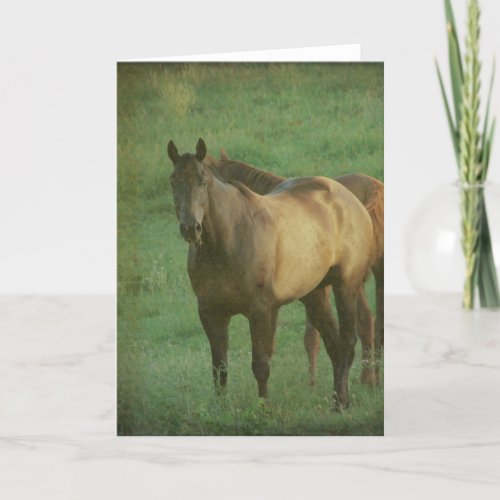 Two Horses in a Pasture all occasions Card