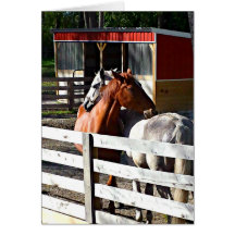 Two Horses in Love