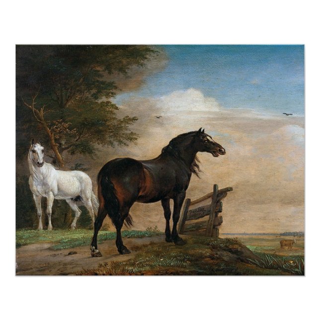 Two Horses in pasture Poster (Front)