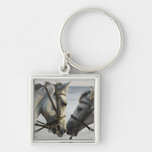 Two horses meeting. keychain