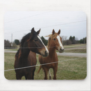 Two Horses Mouse Pad