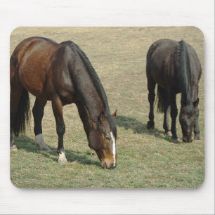 Two horses - Mousepad