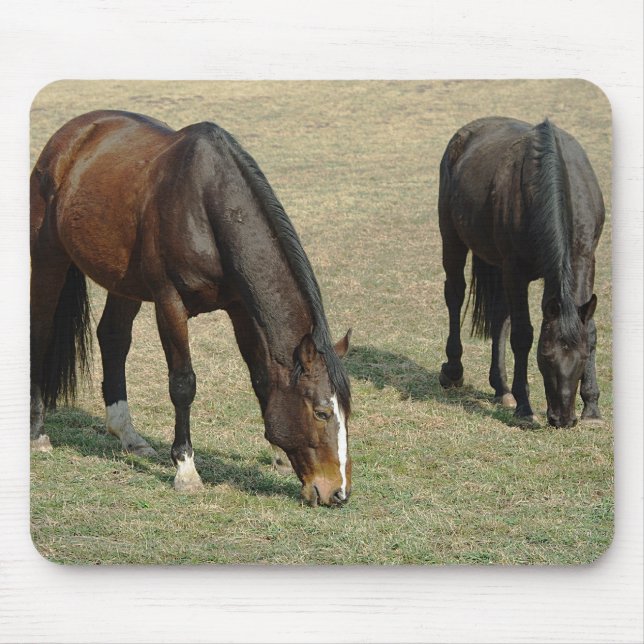 Two horses - Mousepad (Front)