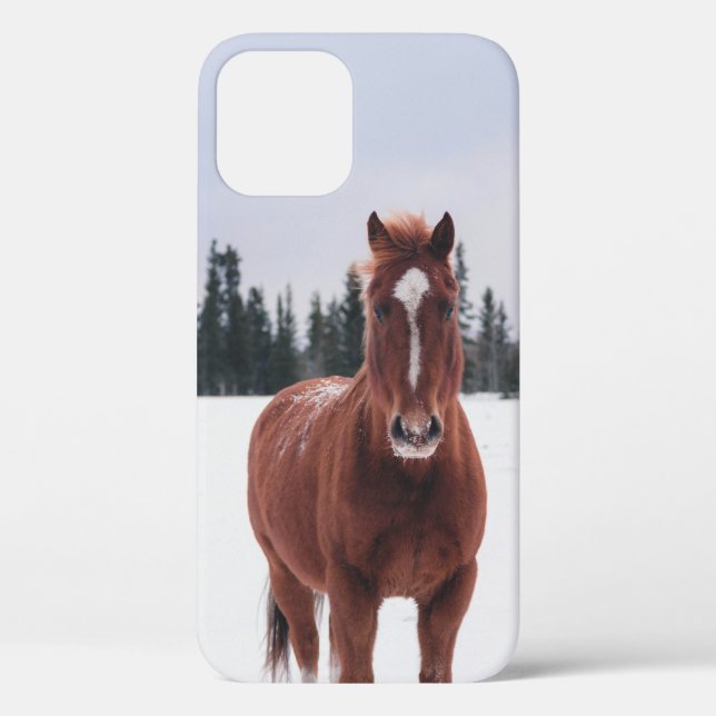 TWO HORSES ON SNOW Case-Mate iPhone CASE (Back)