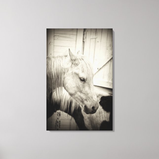two horses outside a stable- black and white canvas print (Front)