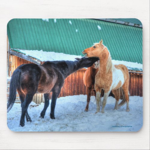 Two Horses Playfighting Funny Equine Photography Mouse Pad