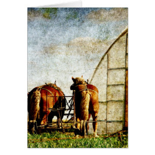 Two Horses Ready For Work Cards