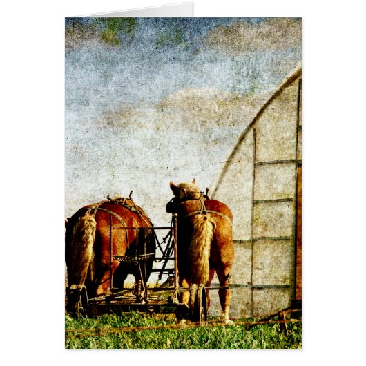 Two Horses Ready For Work Cards (Front)