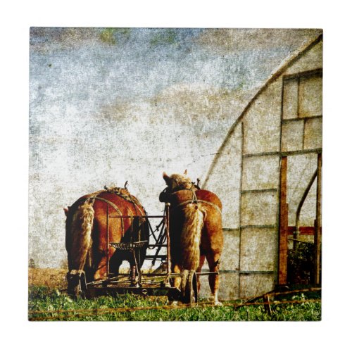 Two Horses Ready For Work Tile