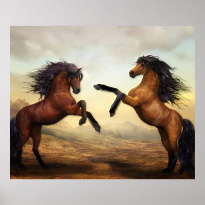 Two Horses Rearing Poster