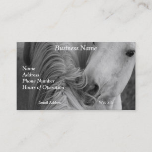 Two Horses Social Grooming B&W Equine Photography Business Card