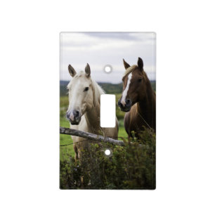 Two horses stand near fence in farm field of off light switch cover