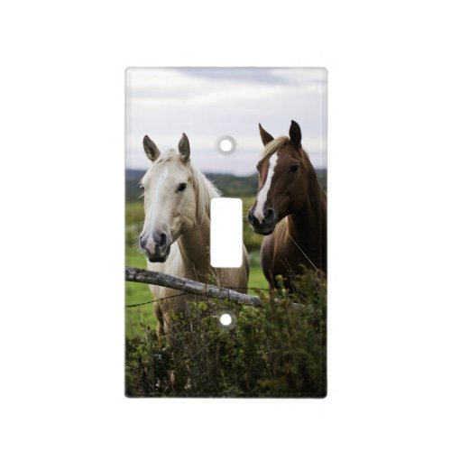 Two horses stand near fence in farm field of off light switch cover