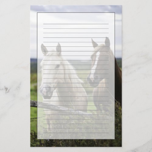 Two horses stand near fence in farm field of off stationery