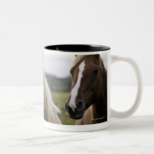 Two horses stand near fence in farm field of off Two_Tone coffee mug